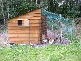 B&B near Blois - chickens