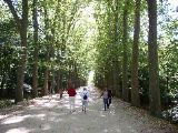 Chenonceau