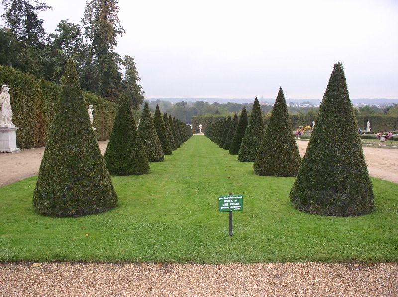 Versaille - "pine cones"
