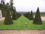 Versaille - "pine cones"