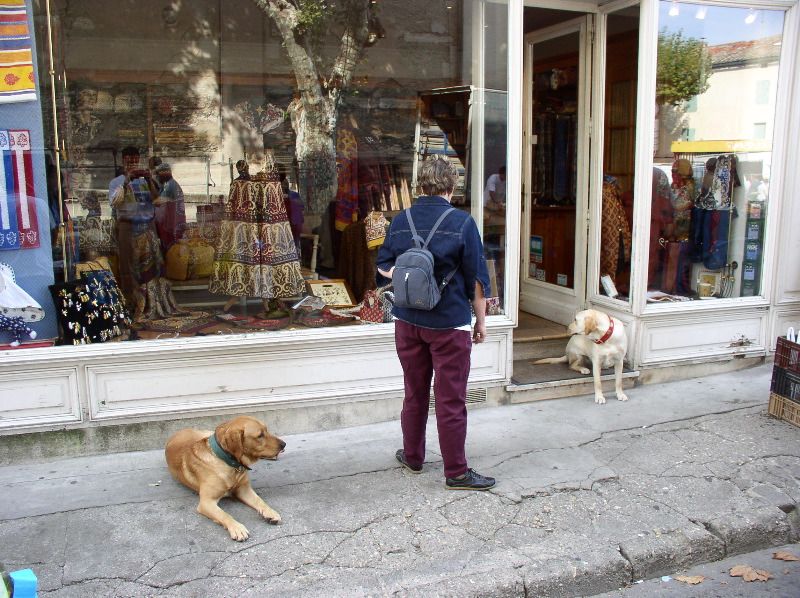 St. Remy de Provence - market dogs