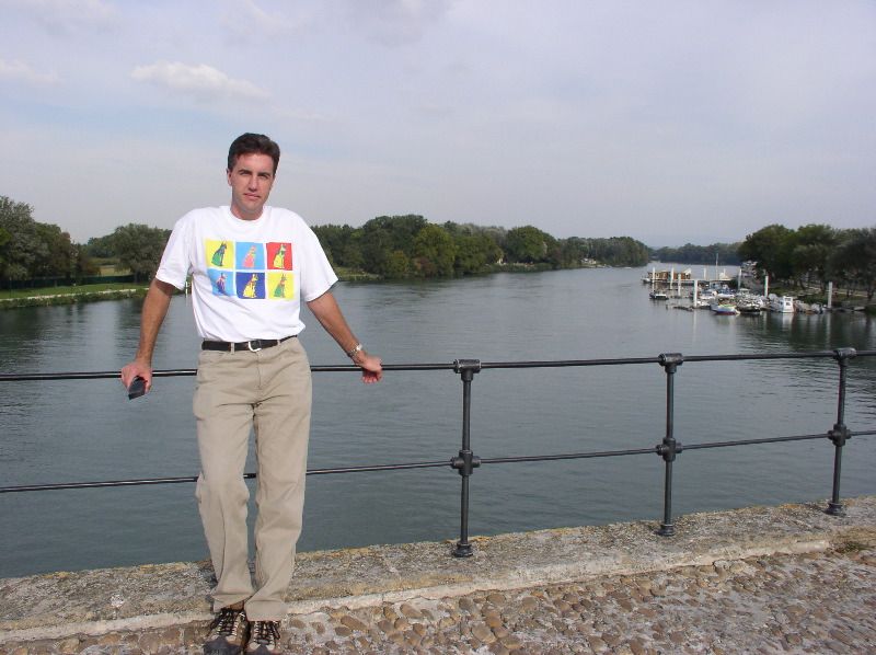 Avignon - Pont d'Avignon