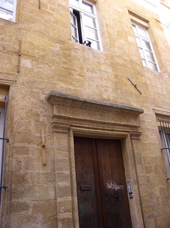 Aix-en-Provence - Cat up high
