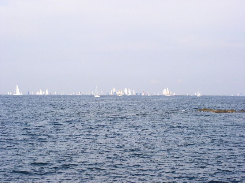 St. Tropez - lotsa boats