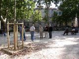 Nime - petanque