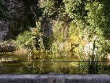 Nime - Les jardins de la Fontaine