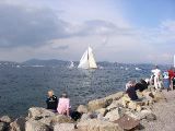 St. Tropez - boat race