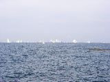 St. Tropez - lotsa boats