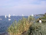 St. Tropez
